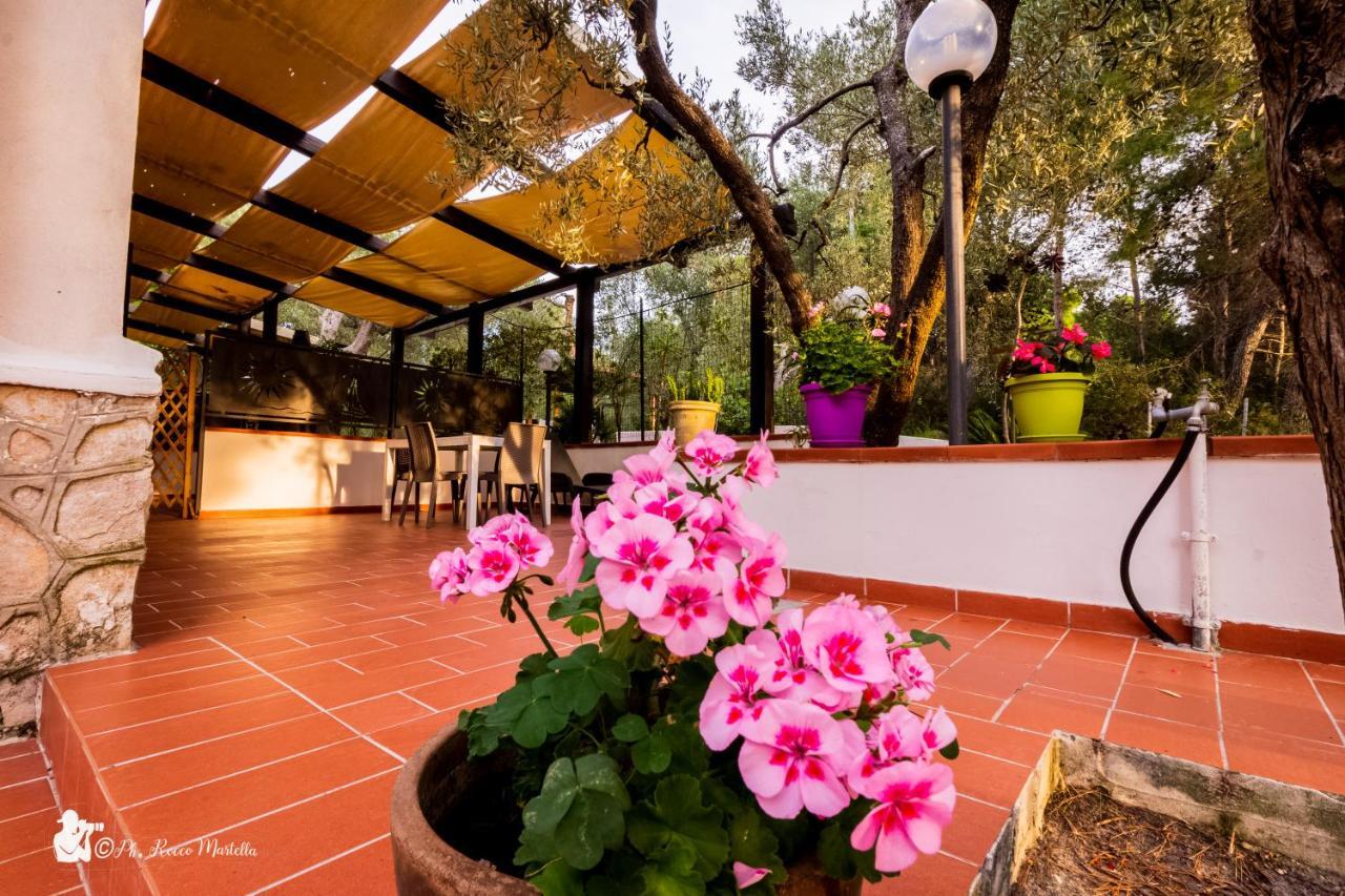 Casa de Férias Anna Rodi