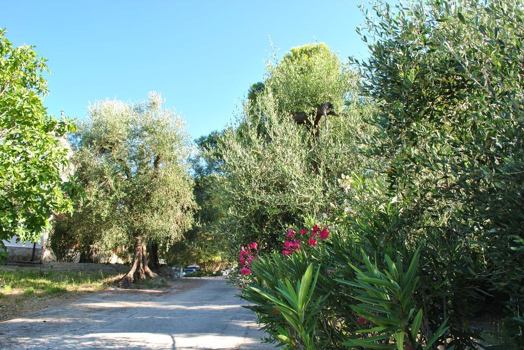 Villa Anna Residence Rodi Holiday home *